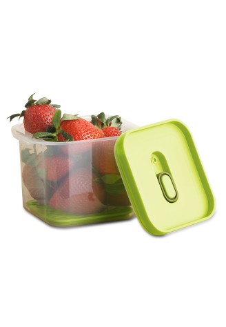 Антибактериальный контейнер, 650 мл