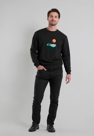 Мужской свитшот с принтом «Silent Flight», цвет черный