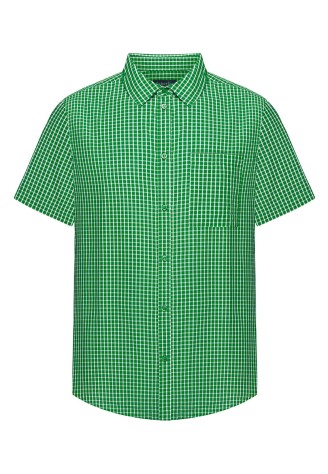 Рубашка в клетку для мужчины, цвет зеленый
