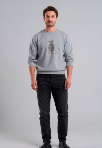 Мужской свитшот с принтом «Dreamer», цвет светло-серый меланж