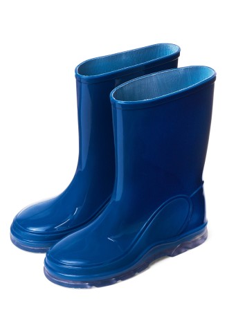 Резиновые сапоги для мальчиков Blues синие