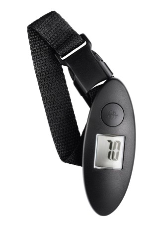 Весы дорожные