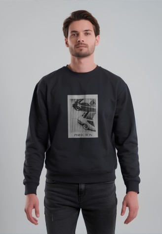 Мужской свитшот с принтом «Perfection», цвет черный