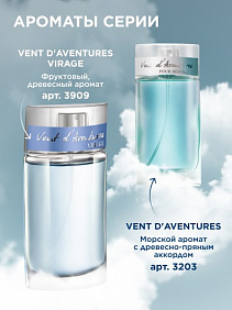 Туалетная вода для мужчин Vent d