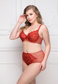 Бюстгальтер на косточках «Эрмитаж» красный