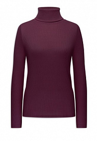 Водолазка из рельефного трикотажа, цвет бордовый
