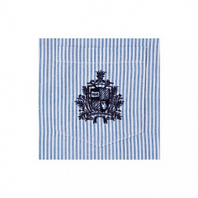 Рубашка в полоску с вышивкой для мальчика, цвет голубой