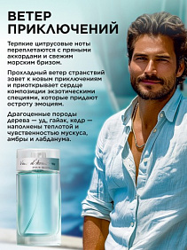 Туалетная вода для мужчин Vent d