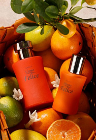 Туалетная вода для мужчин Uomo Felice