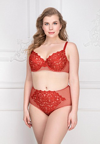 Трусы с завышенной талией «Эрмитаж» красные