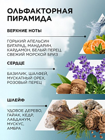 Туалетная вода для мужчин Vent d