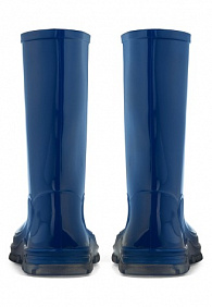 Резиновые сапоги для мальчиков Blues синие