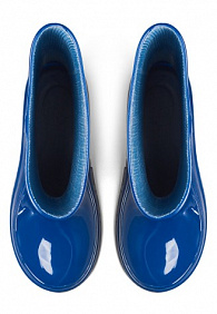 Резиновые сапоги для мальчиков Blues синие