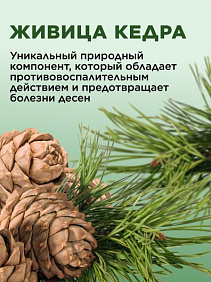 Кислородная профилактическая зубная паста «Живица кедра»
