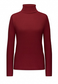 Водолазка из рельефного трикотажа, цвет красный